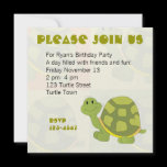 Pop Turtle