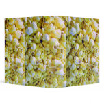 Popcorn Avery Binder