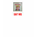 Ladies Baby Doll (Fitted)
