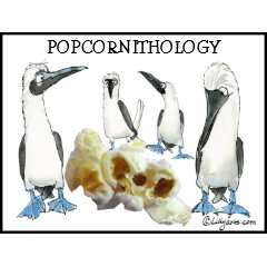 Popcornithology Funny Cartoon Postage stamp
