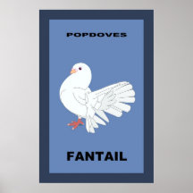 PopDoves Fantail Poster