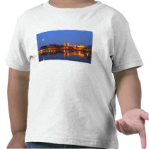 Pope's Palace in Avignon and the Rhone river at T-shirts