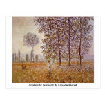 Poplars In Sunlight By Claude Monet Postcards