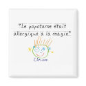 Popotame magnets by Capucha Popotame magnets