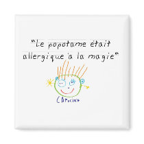 Popotame magnets