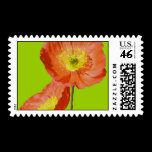 Poppie lime-o Postage postage
