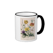 Poppies and Anemones Mug