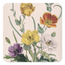 Poppies and Anemones Stickers