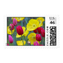 Poppies and Tulips Postage