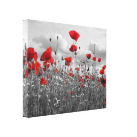 Poppies Black, White and Red Stretched Canvas Prints