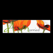 Poppies ! bumper stickers by ArtByLindaLou Poppies ! bumper stickers