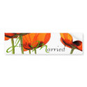 Poppies ! bumper stickers