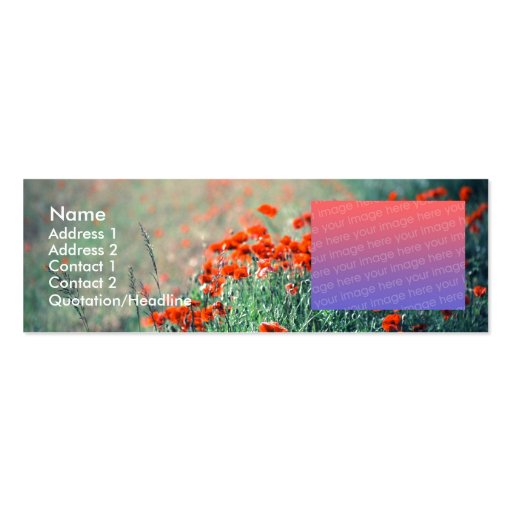 Poppies | business card template (front side)