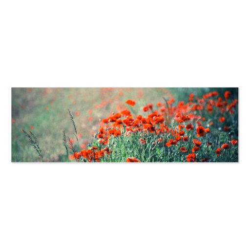 Poppies | business card template (back side)