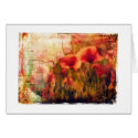 poppies cards