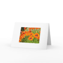 Poppies cards