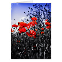 Poppies card cards