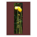 poppies cards by peterspooner poppies cards