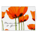 Poppies ! cards
