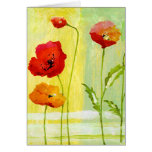 Poppies Card