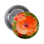 Poppies - Coquelicots Button