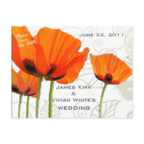 Poppies Deco Shawn Postcards