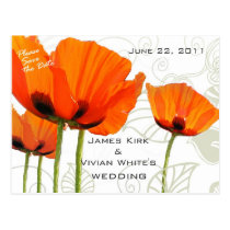 Poppies Deco Shawn postcards