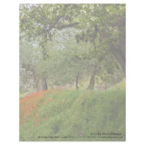 Poppies DSC2625 letterhead