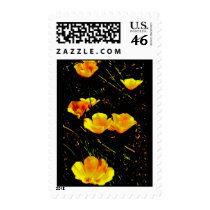 Poppies in a Row Stamps