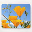 Poppies in Spring mousepad