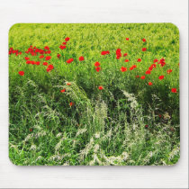 Poppies in Summer mousepads