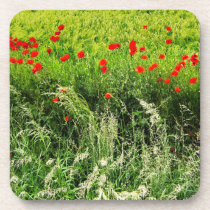 Poppies in the Field cork coasters