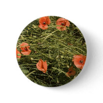 poppies in wheat buttons
