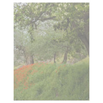 Poppies letterhead