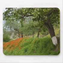 Poppies mousepads