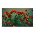 Poppies No. 3 | Canvas Print by celtxian Poppies No. 3 | Canvas Print
