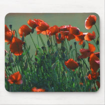 Poppies no. 3 | Mousepad