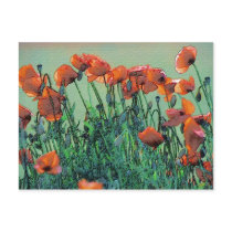 Poppies No. 4 | Postcard