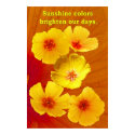 POPPIES ON ORANGE AS POSTER posters by robert_coyne POPPIES ON ORANGE AS POSTER posters
