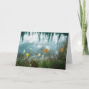 Poppies on Water Condolence Card card