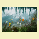 Poppies on Water Condolence Card