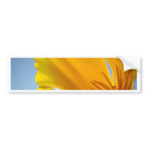 POPPIES Orange Poppy Flowers 13 Cards Gifts Mugs Bumper Stickers