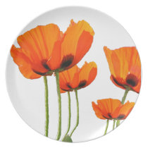 Poppies Plate plates