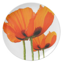 Poppies Plate plates