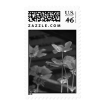 Poppies postage