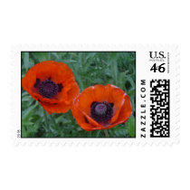 Poppies Postage