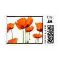 Poppies! postage