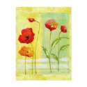 Poppies postcards by myhome71 Poppies postcards
