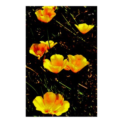 Poppies Print by wingedturtle