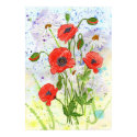 Poppies Poster posters